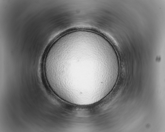 X0000102360487200808151816