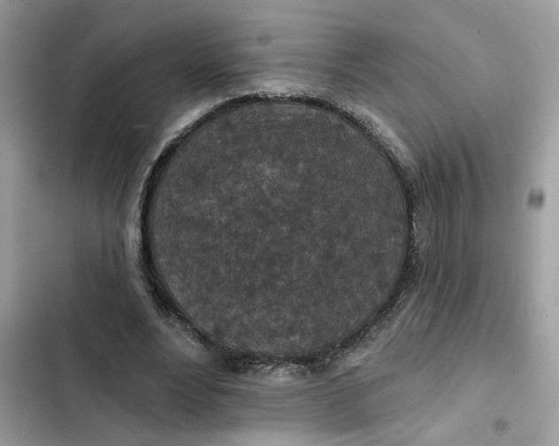 X0000102360488200808151816