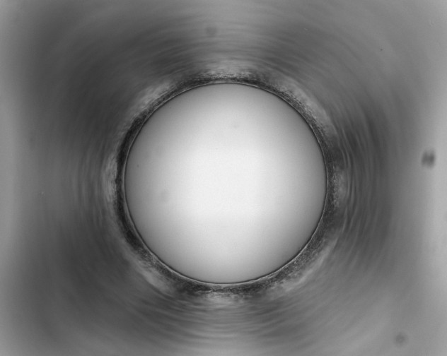 X0000102360490200808151816