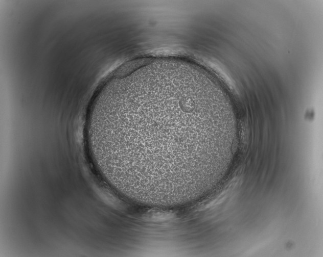 X0000102360491200808151816