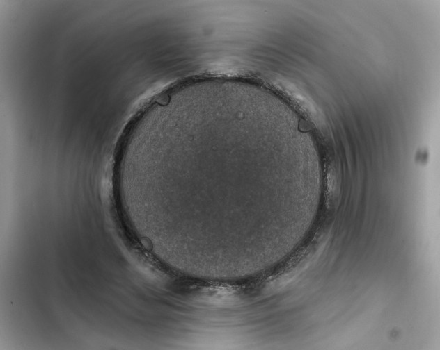 X0000102360492200808151816