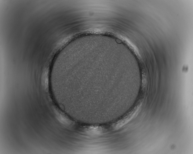 X0000102360493200808151816