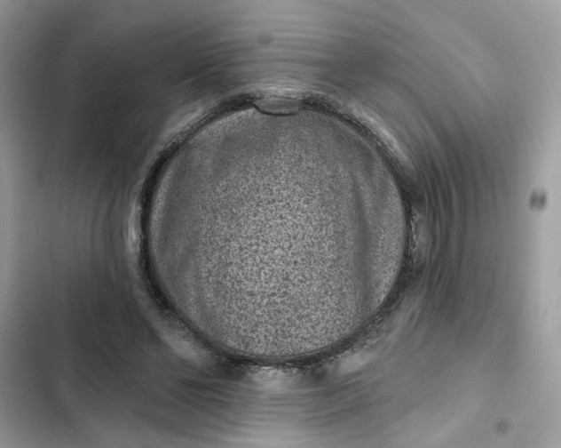 X0000102360494200808151816