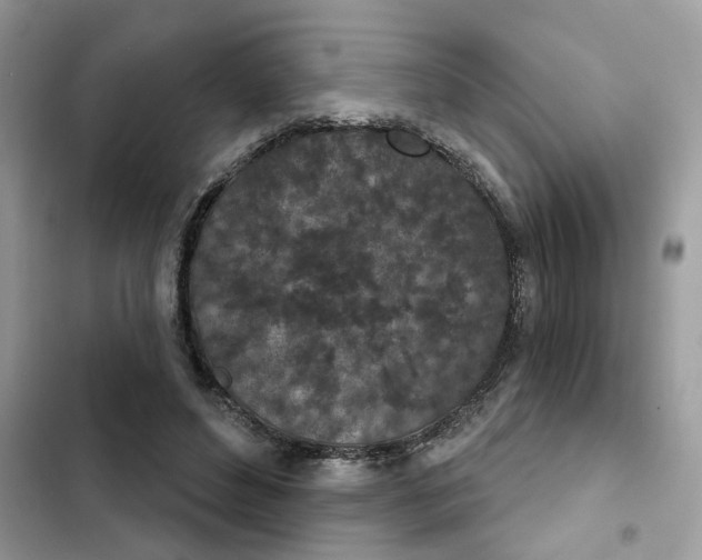 X0000102360496200808151816