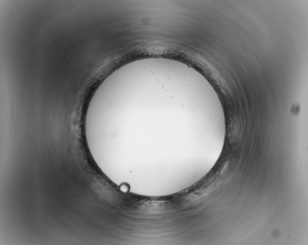 X0000102360497200808151816