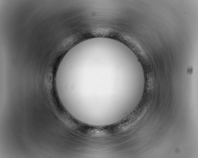 X0000102360498200808151816