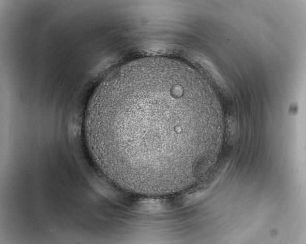 X0000102360499200808151816