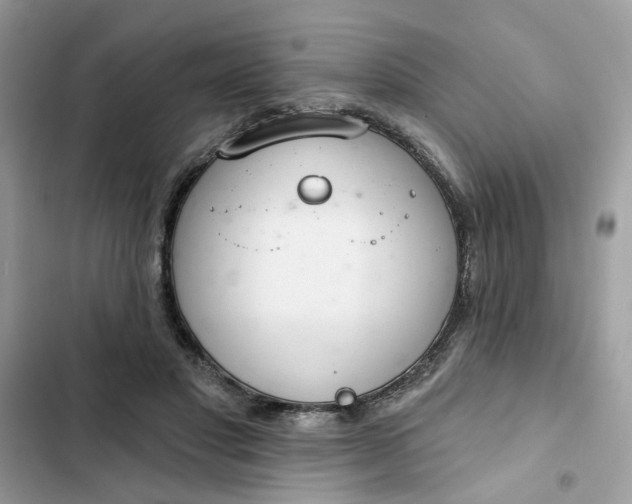 X0000102360501200808151816