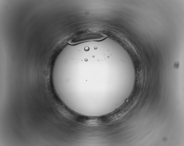 X0000102360505200808151816