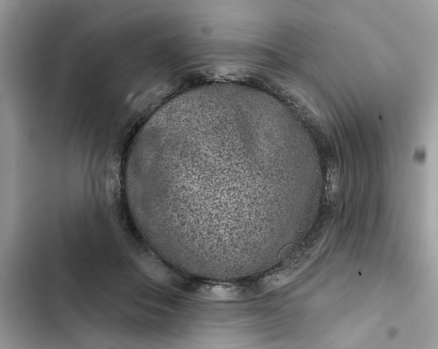 X0000102360506200808151816