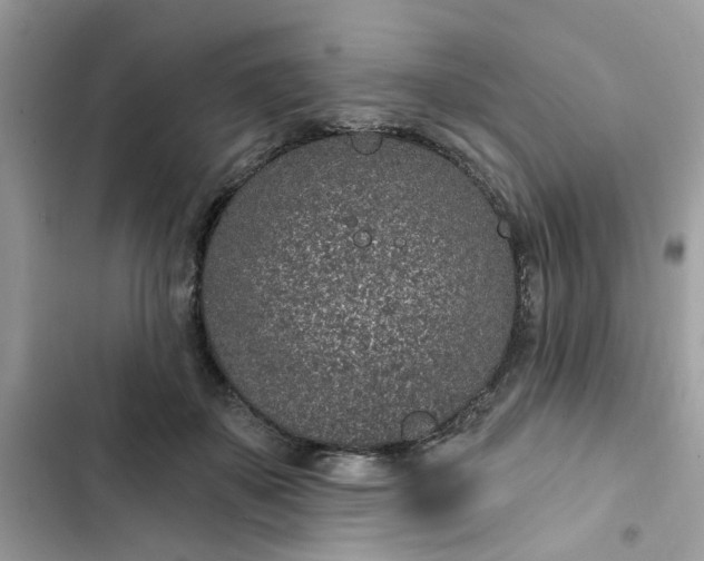 X0000102360507200808151816