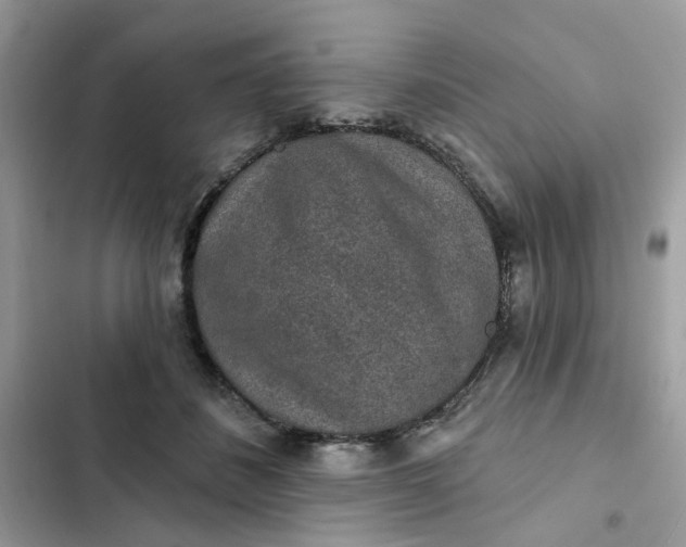 X0000102360508200808151816