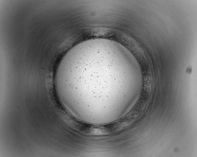 X0000102360510200808151816