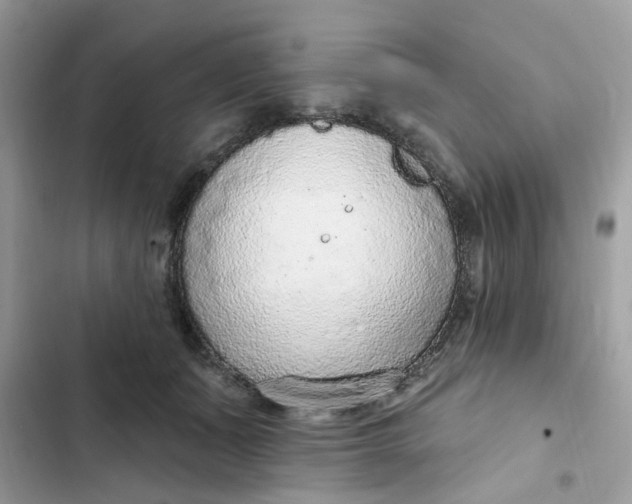 X0000102360511200808151816