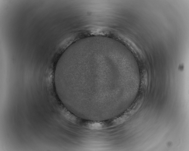 X0000102360513200808151816