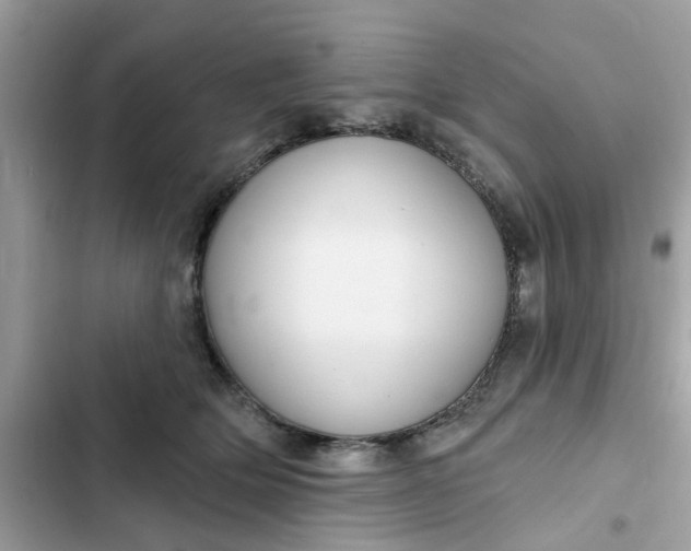 X0000102360514200808151816