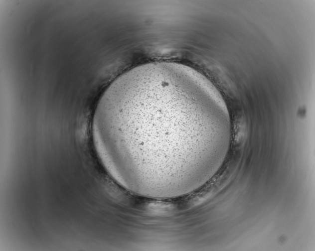 X0000102360515200808151816