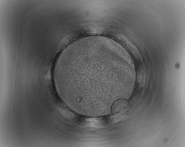 X0000102360516200808151816