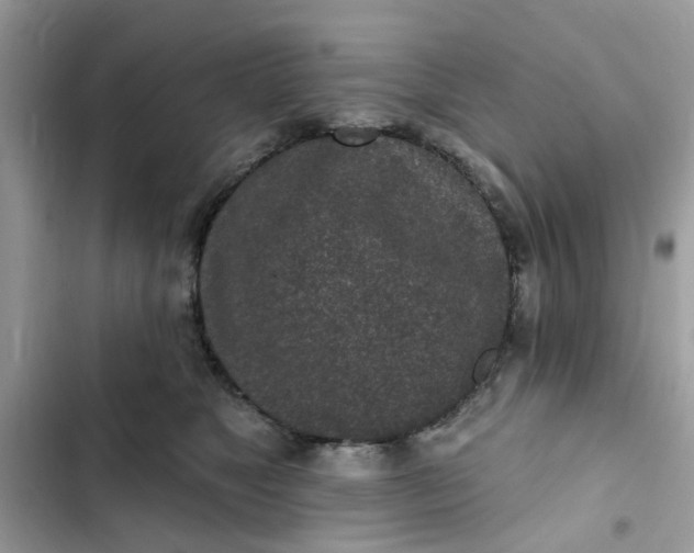 X0000102360517200808151816