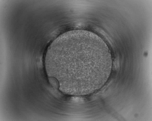 X0000102360520200808151816