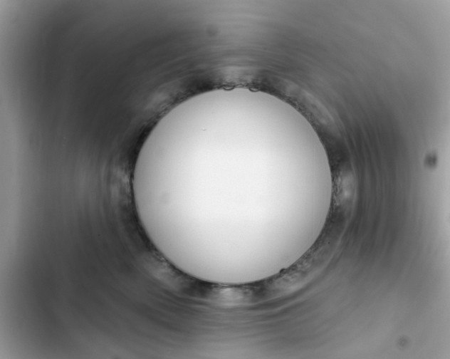 X0000102360522200808151815