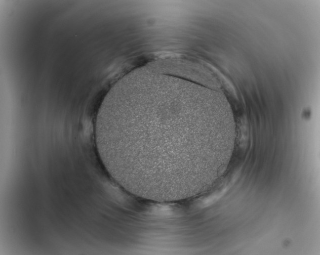 X0000102360523200808151815