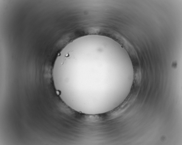 X0000102360525200808151815