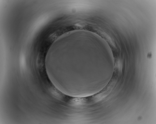 X0000102360526200808151815