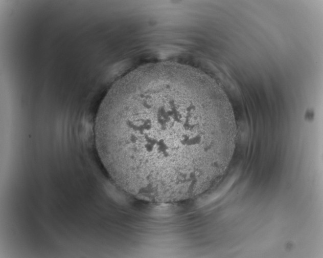 X0000102360527200808151815