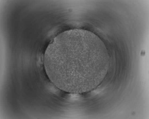 X0000102360528200808151815