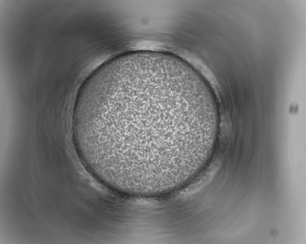 X0000102360529200808151815