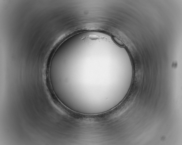 X0000102360530200808151815