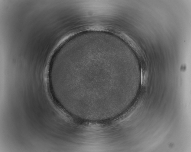 X0000102360531200808151815