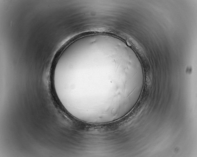 X0000102360532200808151815