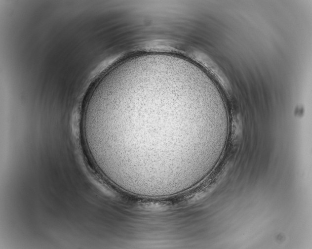 X0000102360533200808151815