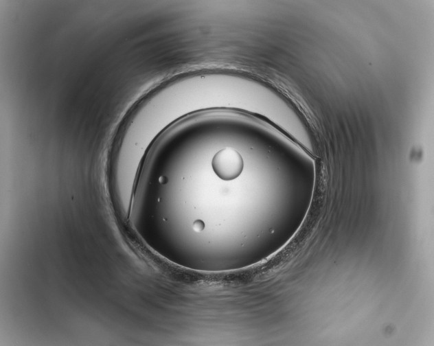 X0000102360534200808151815