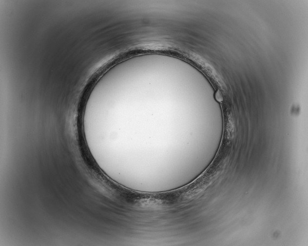 X0000102360535200808151815