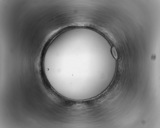 X0000102360536200808151815