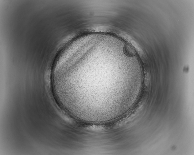 X0000102360537200808151815