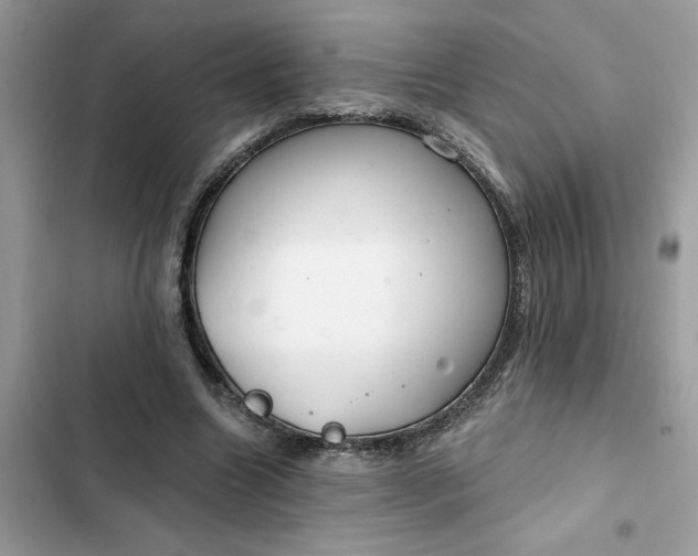 X0000102360538200808151815