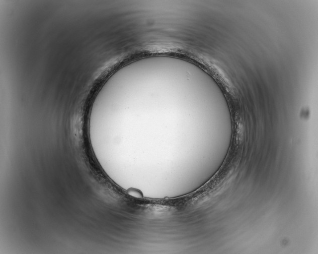 X0000102360539200808151815