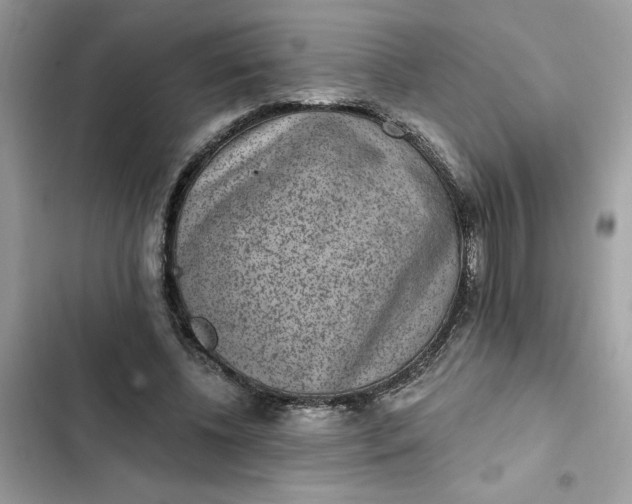 X0000102360540200808151815