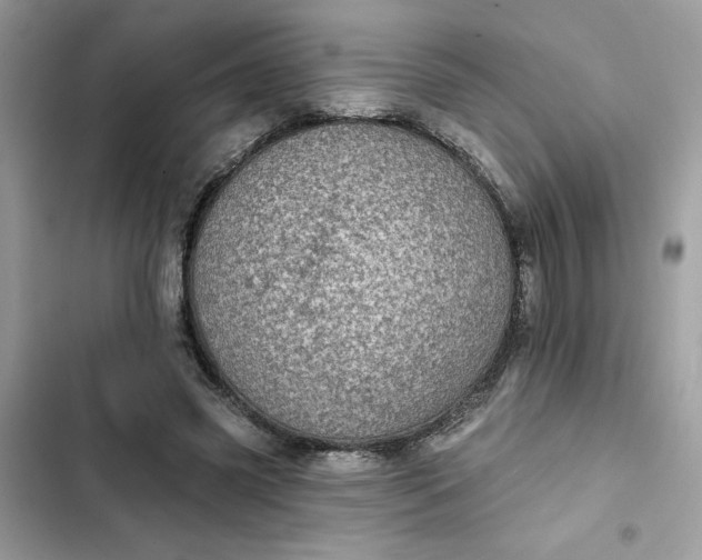 X0000102360541200808151815