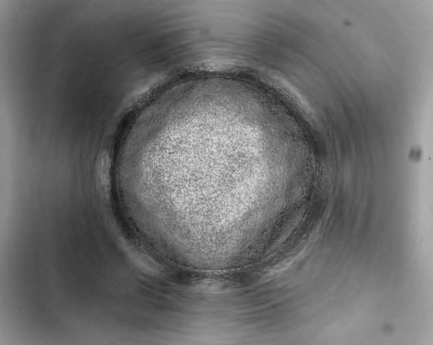 X0000102360542200808151815