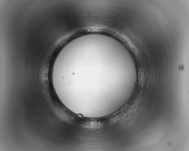 X0000102360543200808151815