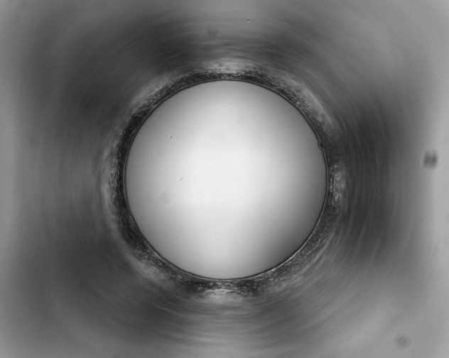 X0000102360544200808151815