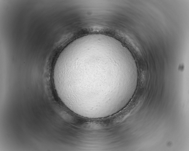 X0000102360545200808151815