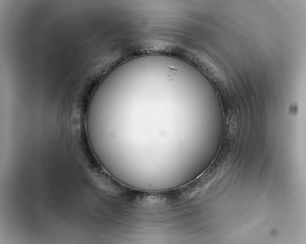 X0000102360546200808151815