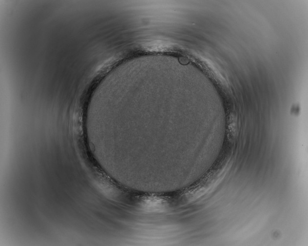 X0000102360547200808151815