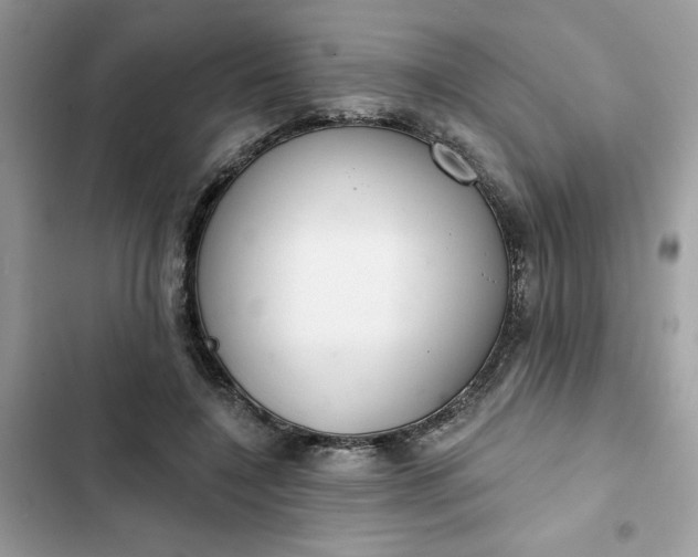 X0000102360548200808151815